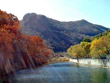 肉馅稀了如何变干点，平原seo程序